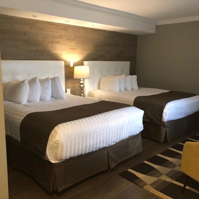 Willow Bend Motel Truro Extérieur photo